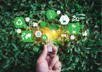 Sustentabilidade na Avicultura