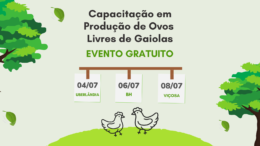 Capacitação em produção de ovos em sistemas alternativos é oferecida em Minas Gerais