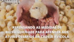 Repensando as medidas de biosseguridade para atender aos atuais desafios da cadeia avícola