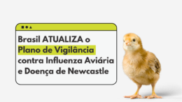 Brasil atualiza o Plano de Vigilância contra Influenza Aviária e Doença de Newcastle