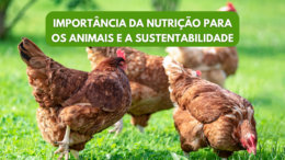 Importância da nutrição para os animais e a sustentabilidade