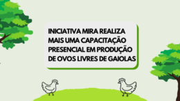 Iniciativa MIRA realiza mais uma capacitação presencial em produção de ovos livres de gaiolas