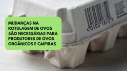 Mudanças na rotulagem de ovos são necessárias para produtores de ovos orgânicos e caipiras