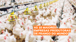 As 10 maiores empresas produtoras de frango do mundo