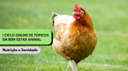 I CICLO ONLINE EM TÓPICOS DE BEM-ESTAR ANIMAL: NUTRIÇÃO E SANIDADE