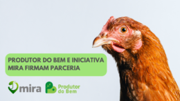 Produtor do Bem e Iniciativa MIRA firmam parceria para incentivar certificação de bem-estar animal na produção de ovos