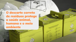 O descarte correto de resíduos protege a saúde animal, humana e o meio ambiente