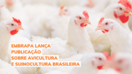 Embrapa lança publicação sobre avicultura e suinocultura brasileira