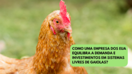 Como uma empresa dos EUA equilibra a demanda e investimentos em sistemas livres de gaiolas?