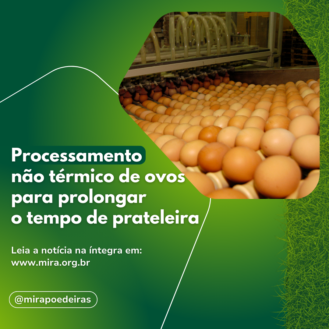 Processamento não térmico de ovos para prolongar o tempo de prateleira