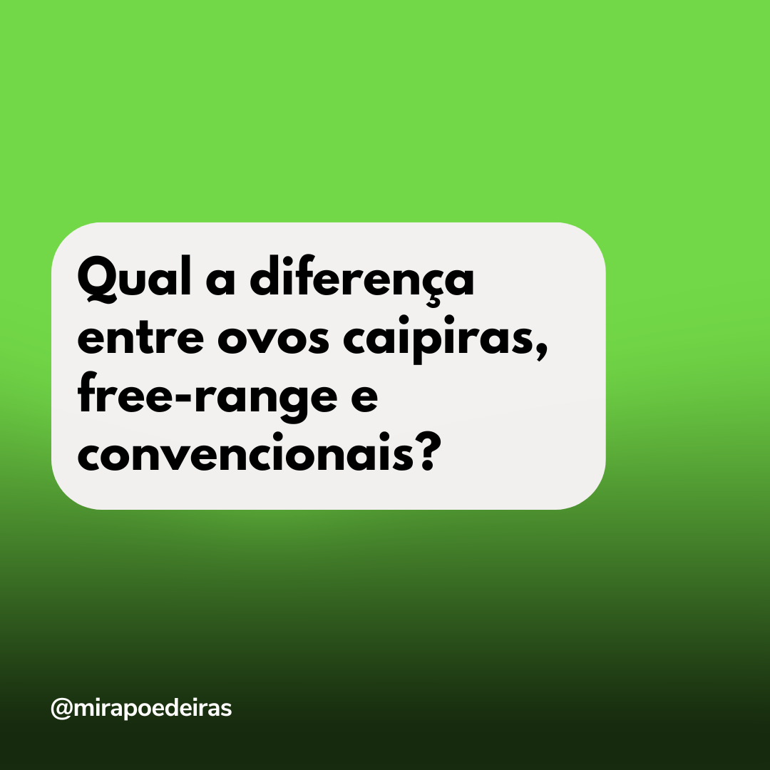 Qual a diferença entre ovos caipiras, free-range e convencionais?