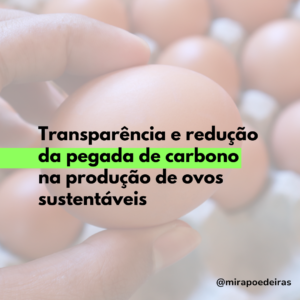 Transparência e redução da pegada de carbono na produção de ovos sustentáveis