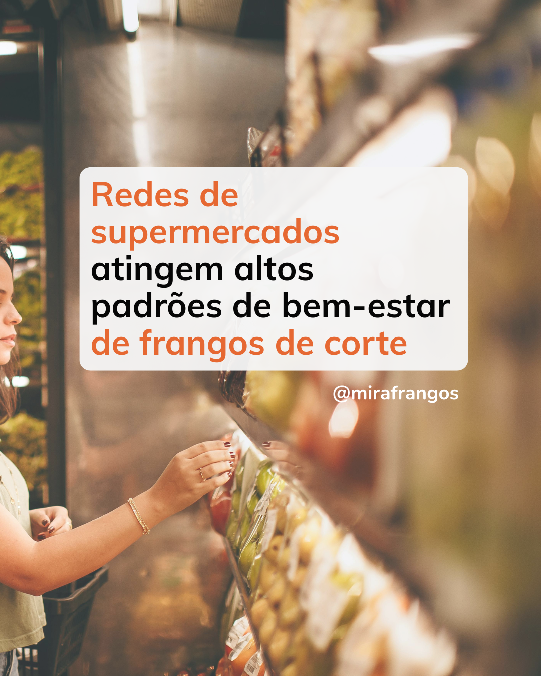 Redes de supermercados atingem altos padrões de bem-estar de frangos de corte