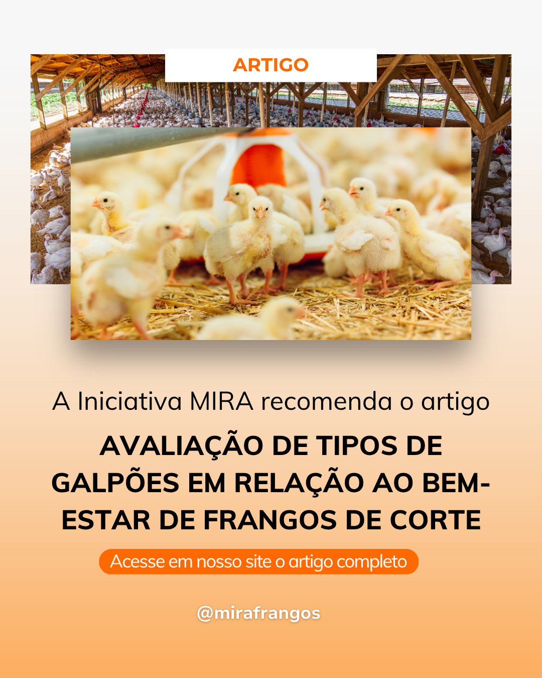 Avaliação de galpões industriais em relação ao bem-estar de frangos de corte