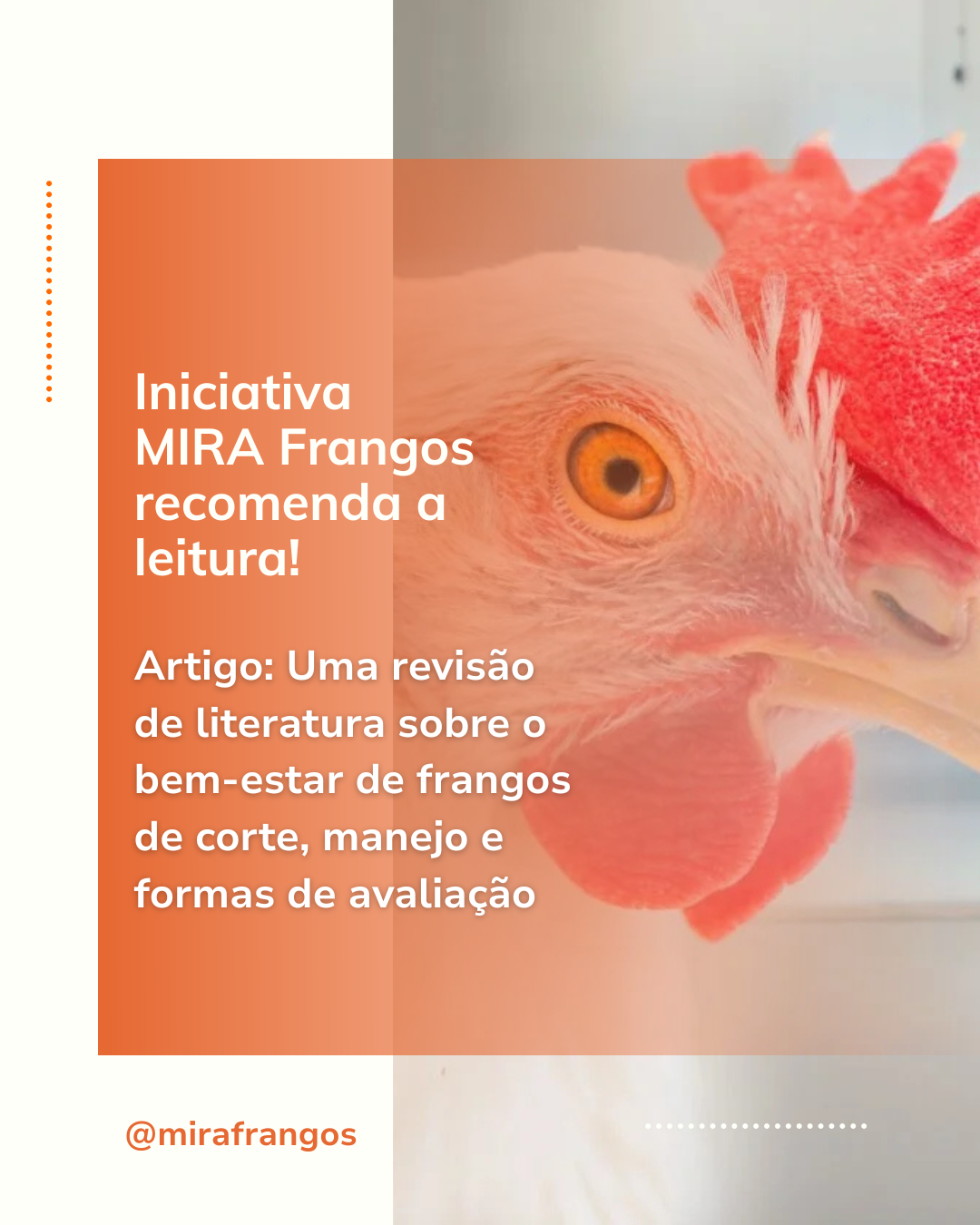 A Iniciativa MIRA Frangos recomenda a leitura!