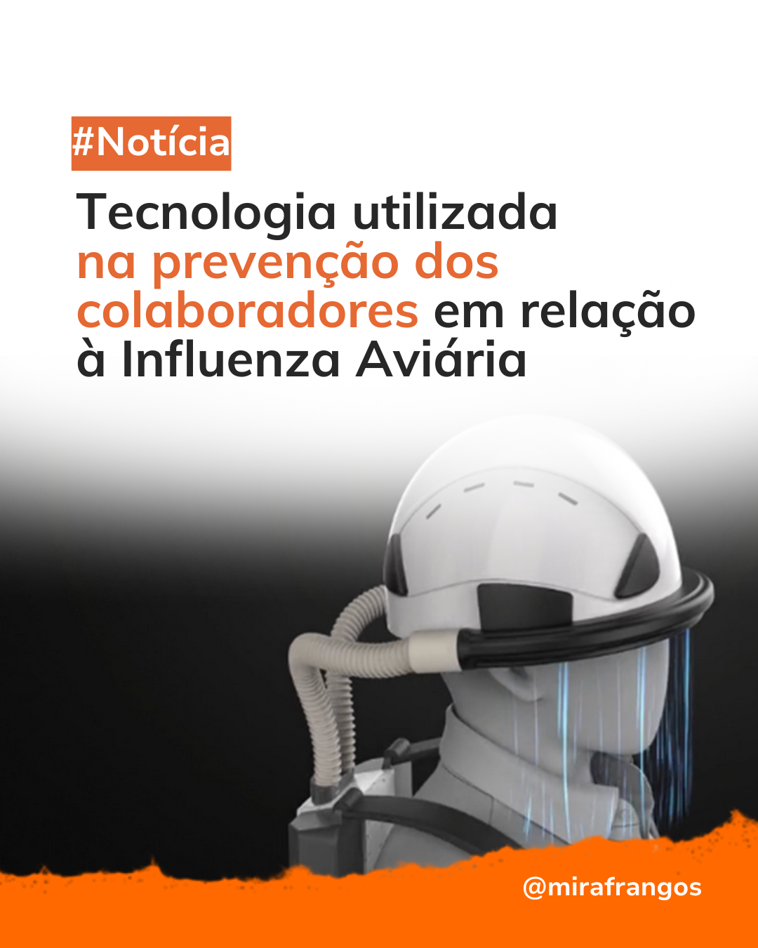 Prevenção dos colaboradores em relação à Influenza Aviária