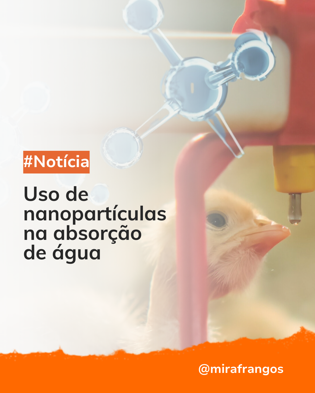 Uso de nanopartículas na absorção de água