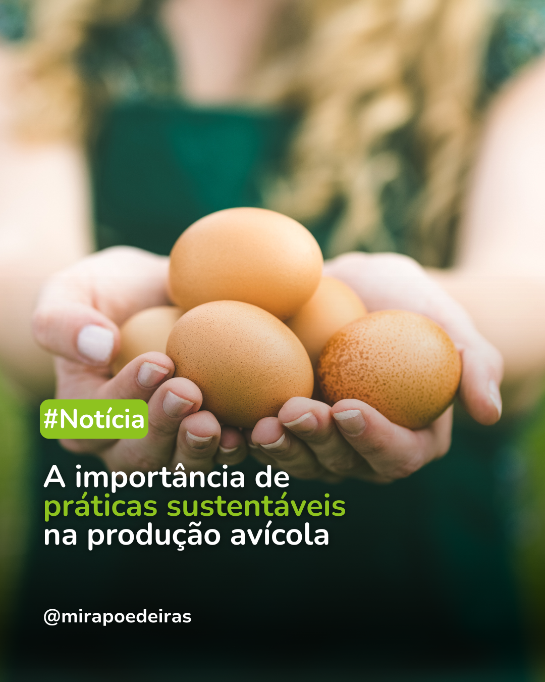 Práticas sustentáveis na produção de ovos