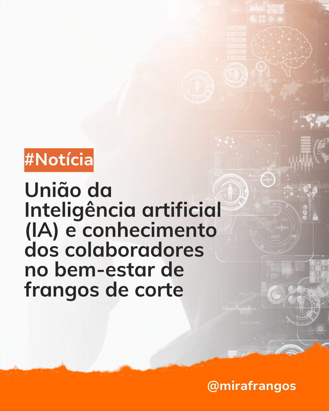 Tecnologia e experiência humana aliadas para promover o bem-estar dos frangos